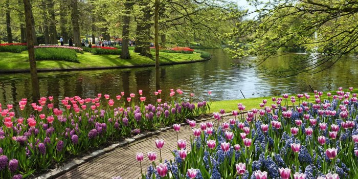 2560x1600 Wallpaper's Collection: «Flower Garden Wallpapers»