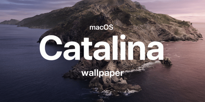 1200x658 Download macOS Catalina Stock Wallpaper (Dark & Light) for Any Device