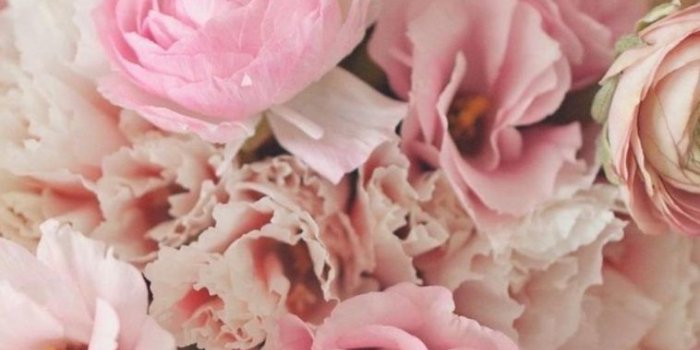 758x1348 Flower iPhone Images Free Download - WallpaperAsk
