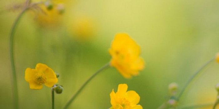 750x1334 60 Beautiful Nature iPhone Wallpapers – Available Ideas