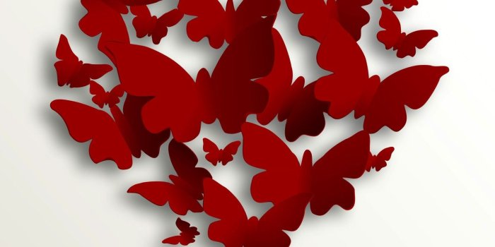 1332x850 Wallpaper butterfly, heart, love, heart, romantic, Valentine's Day