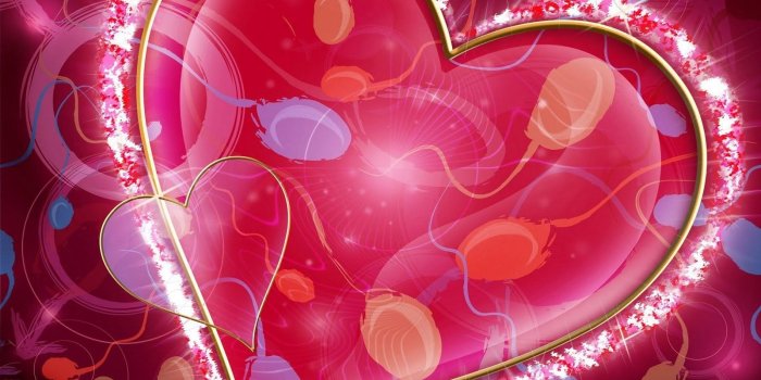 1600x1000 47+] Romantic Love 3D Wallpapers on WallpaperSafari