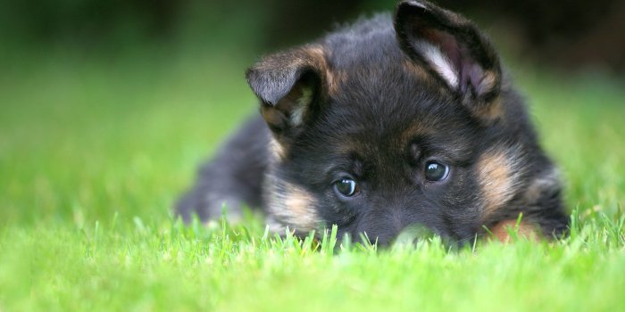 2560x1600 Download this awesome wallpaper - Wallpaper Cart