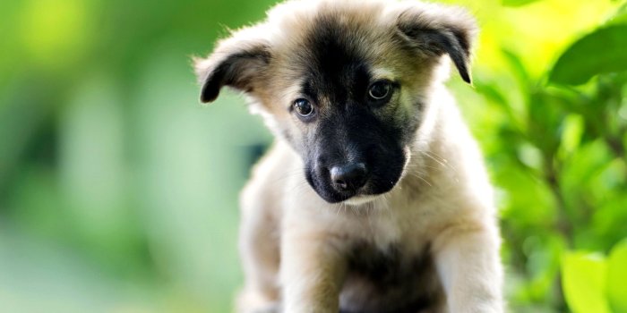 1920x1200 Sad Wallpaper Full Screen Hd 38+ - Page 2 of 3 - hdwallpaper20.com