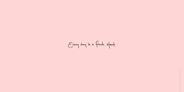 1517x948 Wallpaper Iphone Aesthetic Rose