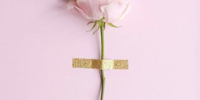 1368x855 Aesthetic Rose Flower Wallpaper | Gardening: Flower and Vegetables