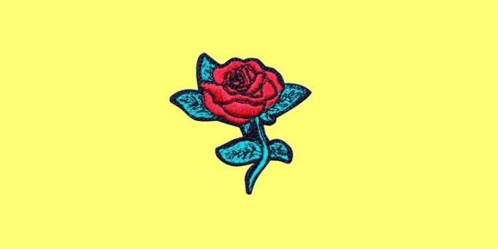 750x1334 Cute Yellow Rose Wallpapers ✓ The Galleries of HD Wallpaper