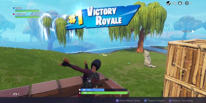 1920x1080 Fortnite Victory Royale Dab Wallpaper Background 64826 1920x1080px