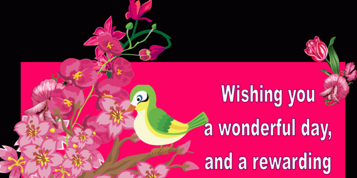 999x893 Happy Friday PNG HD Transparent Happy Friday HD.PNG Images. | PlusPNG