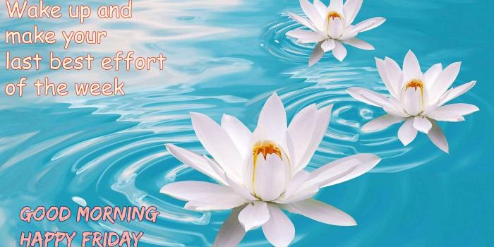 1920x1080 42+ Good Morning Friday Quotes & Images