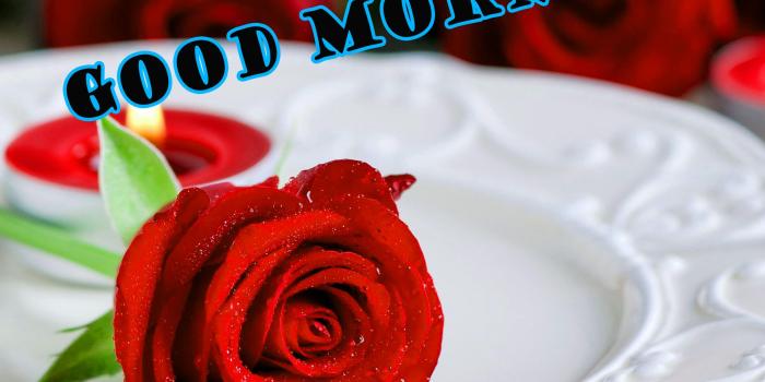 1918x1600 Good Morning Red Rose Wallpaper Photo Hd For Whatsapp - Love Happy