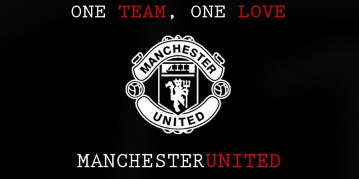 1080x1920 Download Manchester United Logo Wallpaper (48+) - Free Wallpaper For