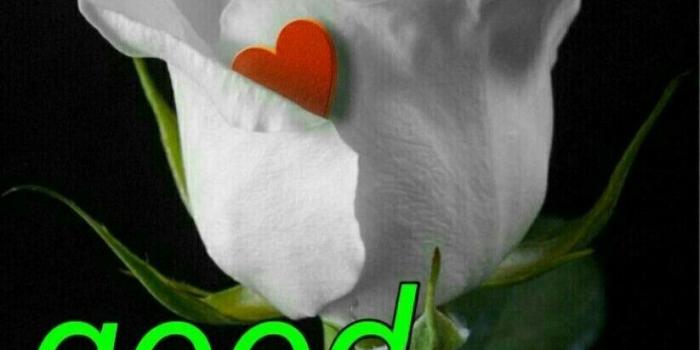 823x1280 good morning all images photo picture wallpaper download and share