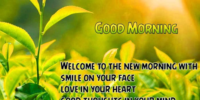 1024x768 159+ Friday Best Quotes Morning Blessings Images Pictures Greetings