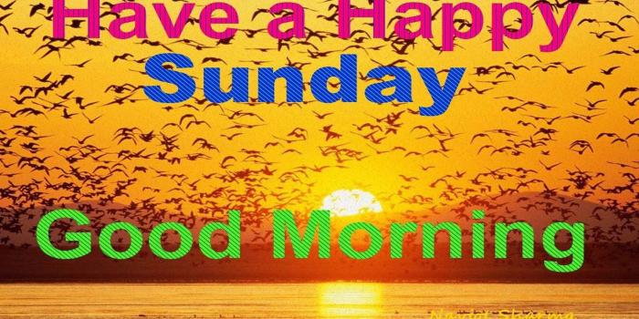 1920x1200 Happy Sunday Wallpaper - Happy Sunday Good Morning Free Wallpaper