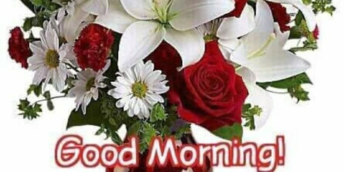 1080x1330 Frannie Walsh on Days | Good morning quotes, Morning