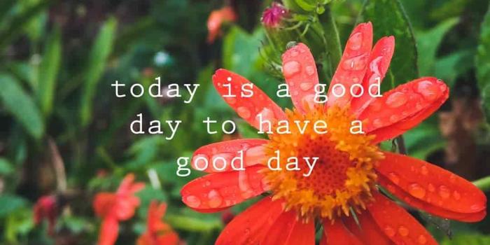 1080x1080 191+ Good Morning Images, Morning Picture, Good Morning HD Photos