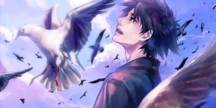 1920x1204 Anime boy cry bird clouds sky wallpaper | 1920x1204 | 538596