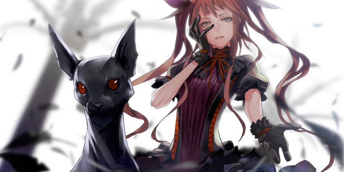 5244x3728 Anime girl 5k Retina Ultra HD Wallpaper | Background Image