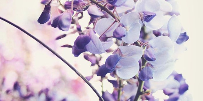 736x1308 24 Wallpapers To Style Your New Gold iPhone Xs | Preppy Wallpapers