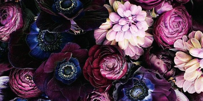 750x1075 Aesthetic Flower Wallpapers - Top Free Aesthetic Flower Backgrounds