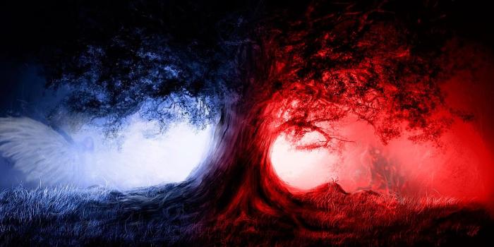 1680x1050 wolves, angel, Red and Blue :: Wallpapers