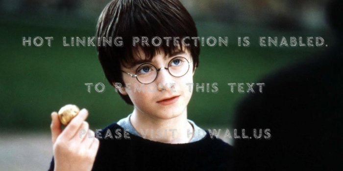 1024x768 harry potter daniel radcliffe snitch