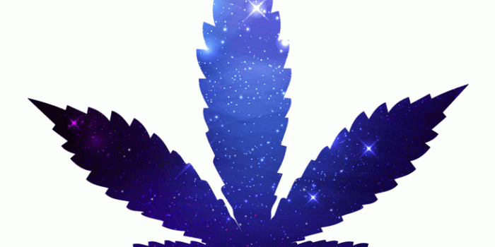 735x1102 Click on this picture to get this dope design for merch! #weed