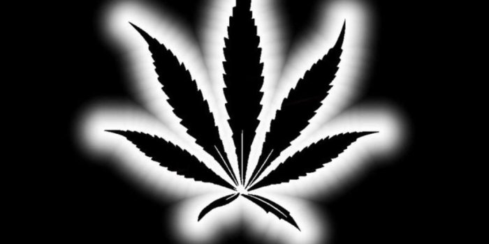 1024x768 Weed Wallpapers Tumblr