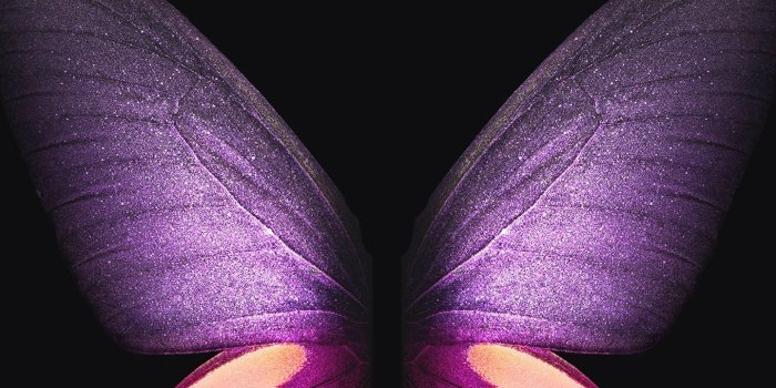 1440x2960 Here you can Download Samsung Galaxy Fold Official Stock Wallpaper