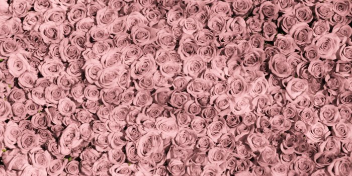 2560x1440 Wallpapers Tumblr Hd - Rose Gold Free Wallpaper & Backgrounds