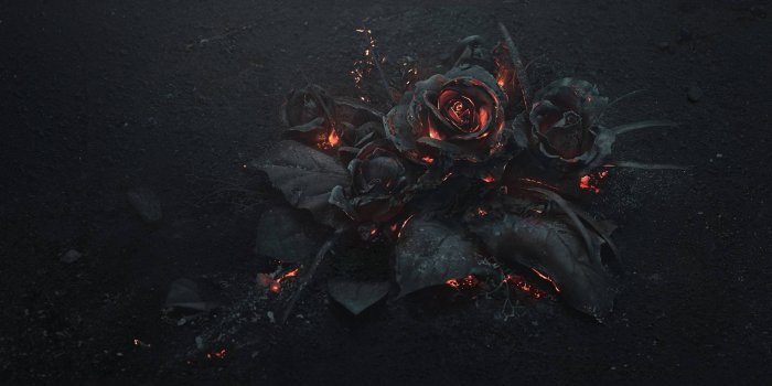 2560x1440 General 2560x1440 flowers rose fire Gothic | Wallpaper backgrounds