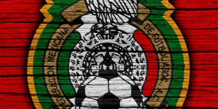 720x1280 Sports/Mexico National Football Team (720x1280) Wallpaper ID: 803386