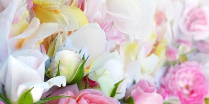 750x1334 Light Pink Floral iPhone Wallpapers - Top Free Light Pink Floral