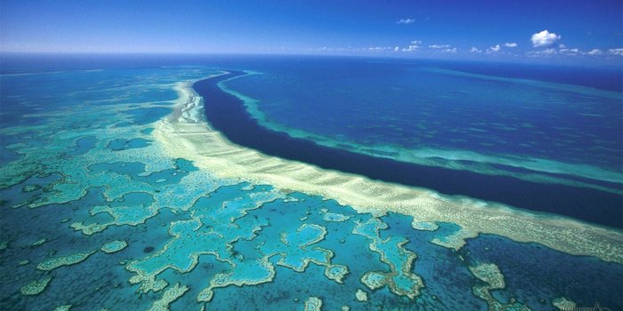 1920x1080 Great Barrier Reef Wallpaper (61+ images)