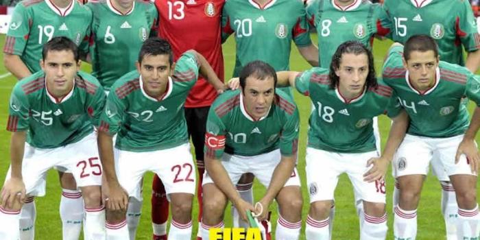 1024x816 Cute Dolphin Backgrounds, Wallpaper, Cute Dolphin Backgrounds Hd