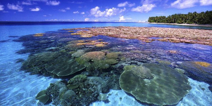 1920x1080 File: Great Barrier Reef Wallpapers-81GIIEQ.jpg - 4USkY
