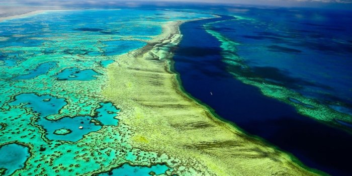 1920x1080 Great Barrier Reef Wallpapers Full HD #FC6TB7Z - 4USkY