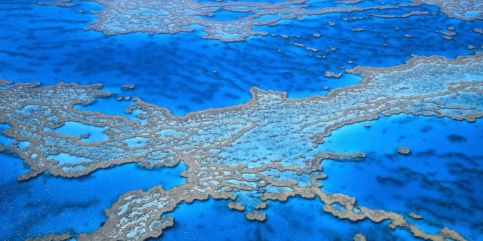 1280x804 great barrier reef wallpapers | great barrier reef stock photos