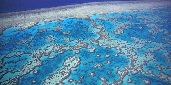 2560x1600 Great Barrier Reef Wallpaper 3 40902 Images Hd Wallpapers - Great