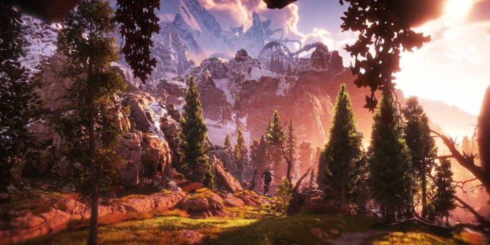 1333x750 Guerrilla Games, Vegetation, Horizon Zero Dawn, Wilderness, National