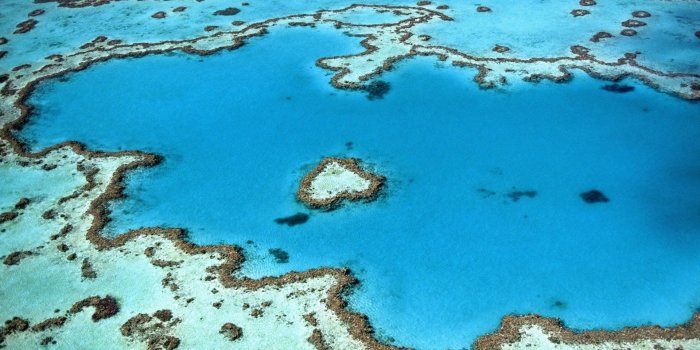 1920x1200 Great Barrier Reef Wallpaper 14 - 1920 X 1200