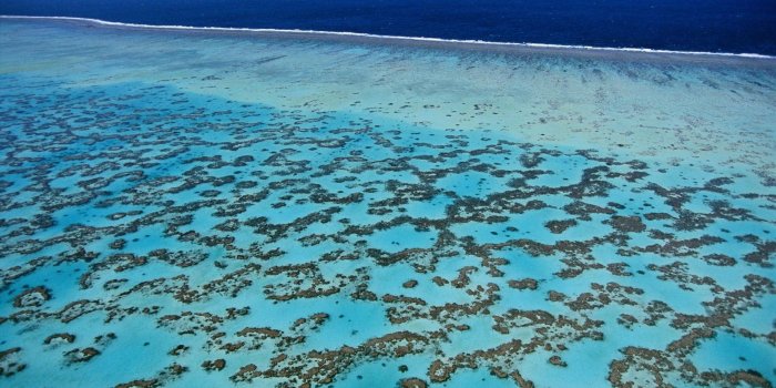 1920x1200 Reef Wallpapers (61+ background pictures)