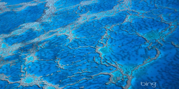 1920x1200 Great Barrier Reef Wallpapers Desktop 1920x1200 px - 4USkY