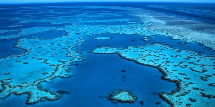 1280x853 HQ Definition - Great Barrier Reef - Awesome Great Barrier Reef
