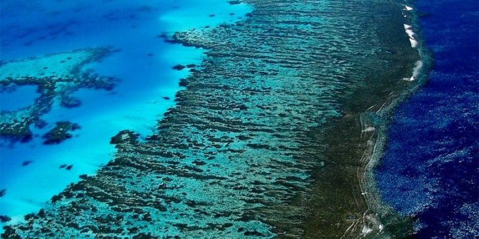 794x1000 Great barrier reef wallpaper Gallery