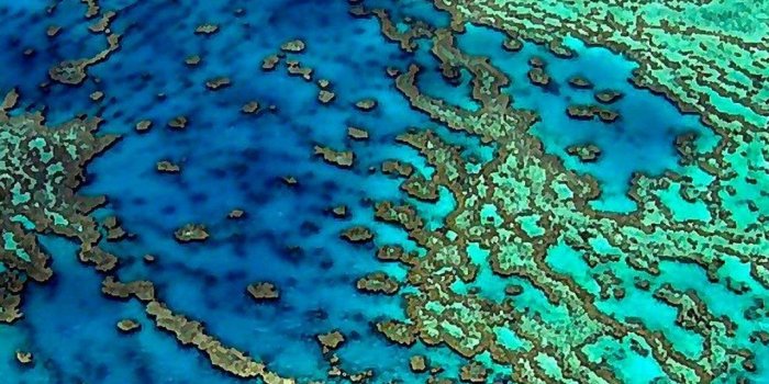 1280x1024 GREAT BARRIER REEF WALLPAPER ( Desktop Background