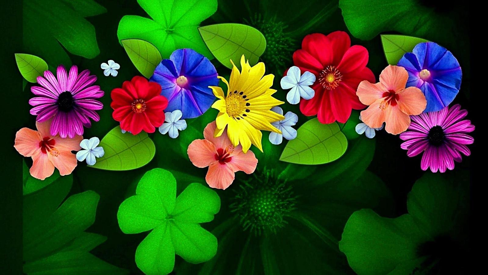 1920x1080 Flowers Hd Wallpapers For Android - (43+) Group Wallpapers