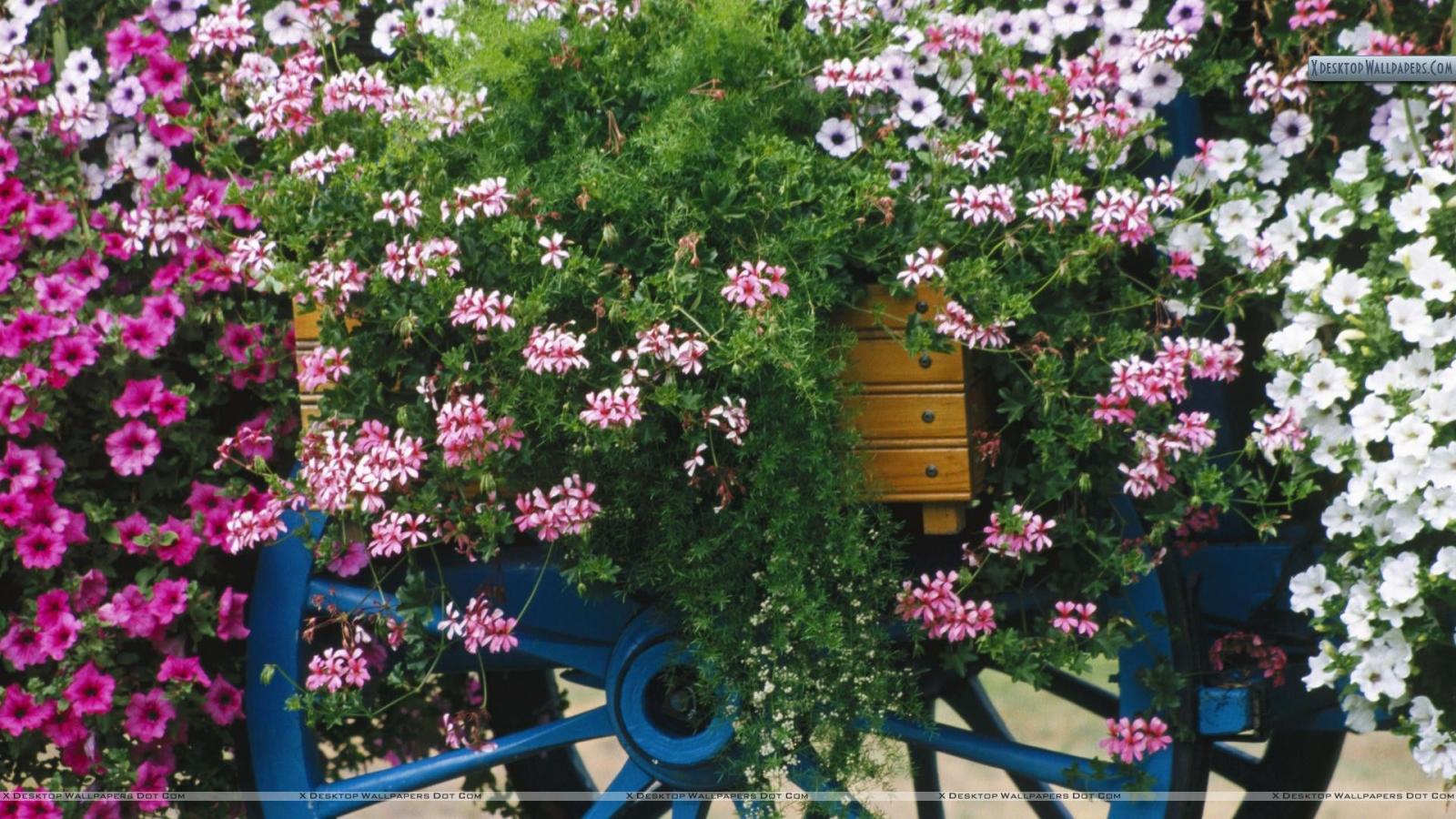 1920x1080 Colorful Flower Cart Wallpaper