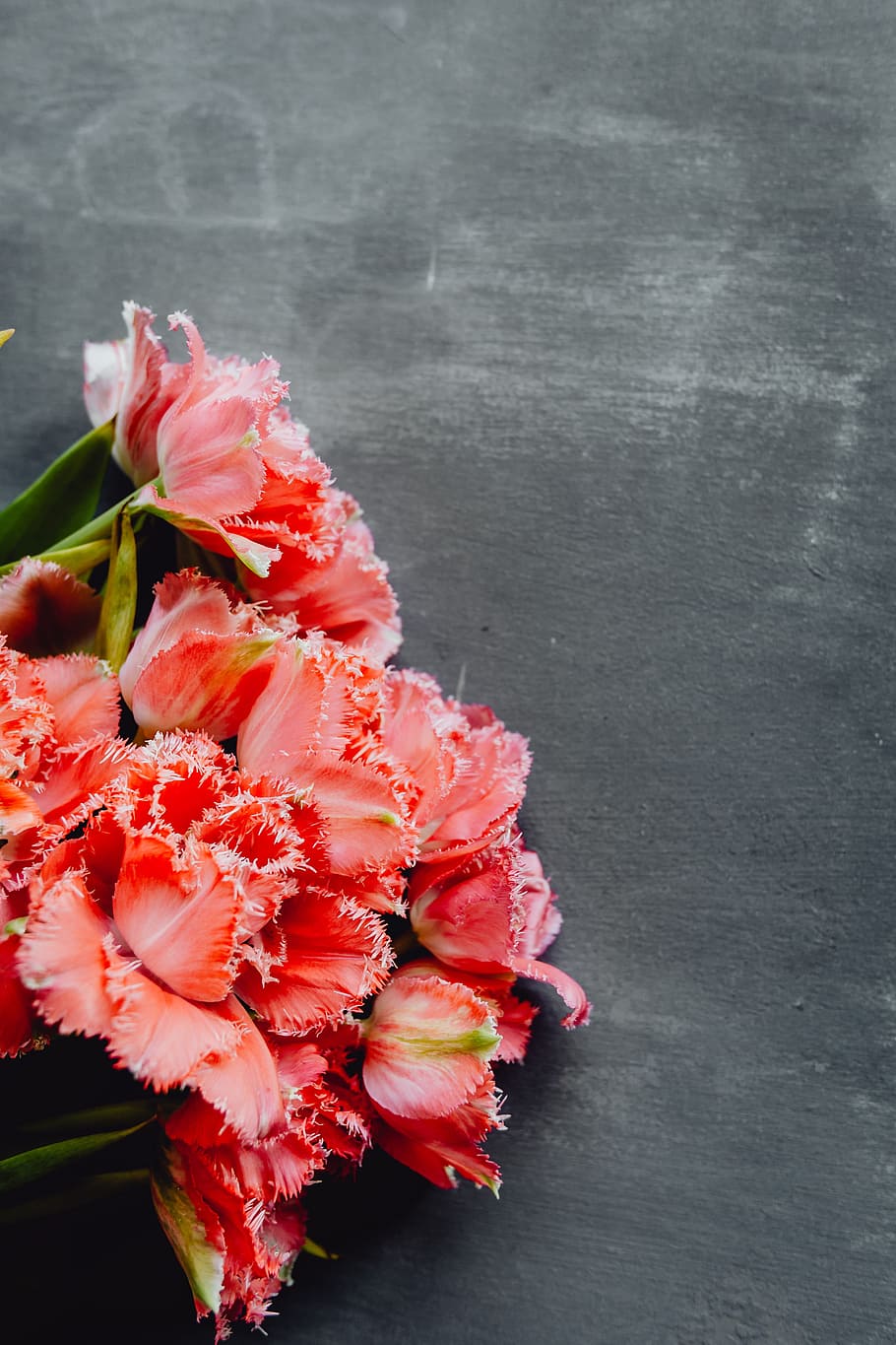 910x1365 HD wallpaper: Colorful flowers on grey background with copy space